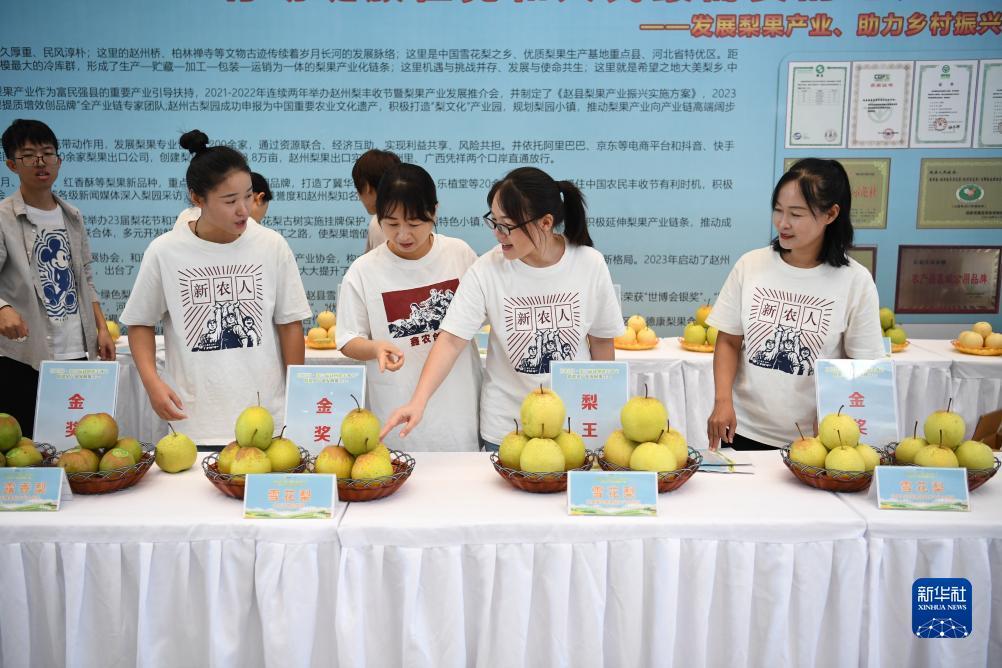 game828官方下载